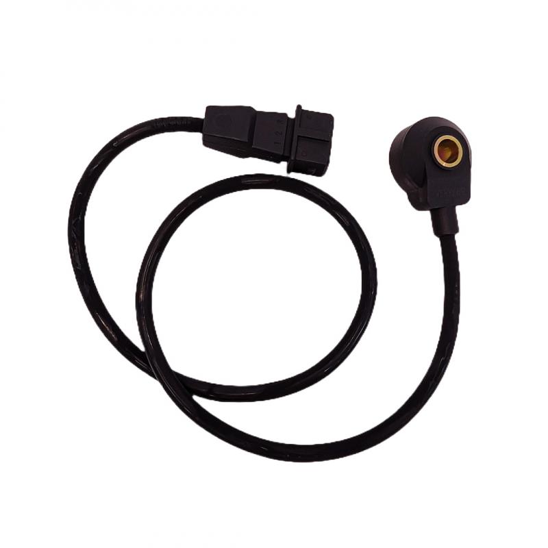 Imagen ilustrativa de SENSORES DE DETONACION 78905377